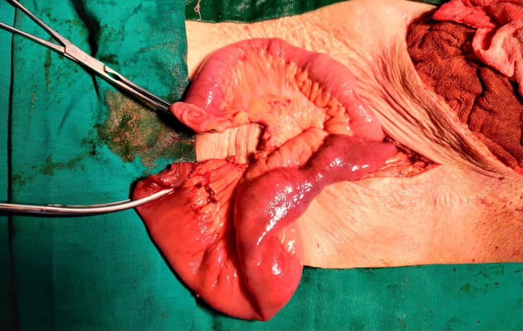 Gastroenterologist in Nashik